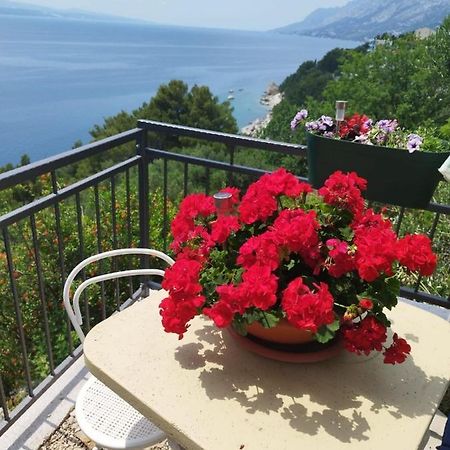 Apartments Mare - 150 M From Beach Brela Esterno foto