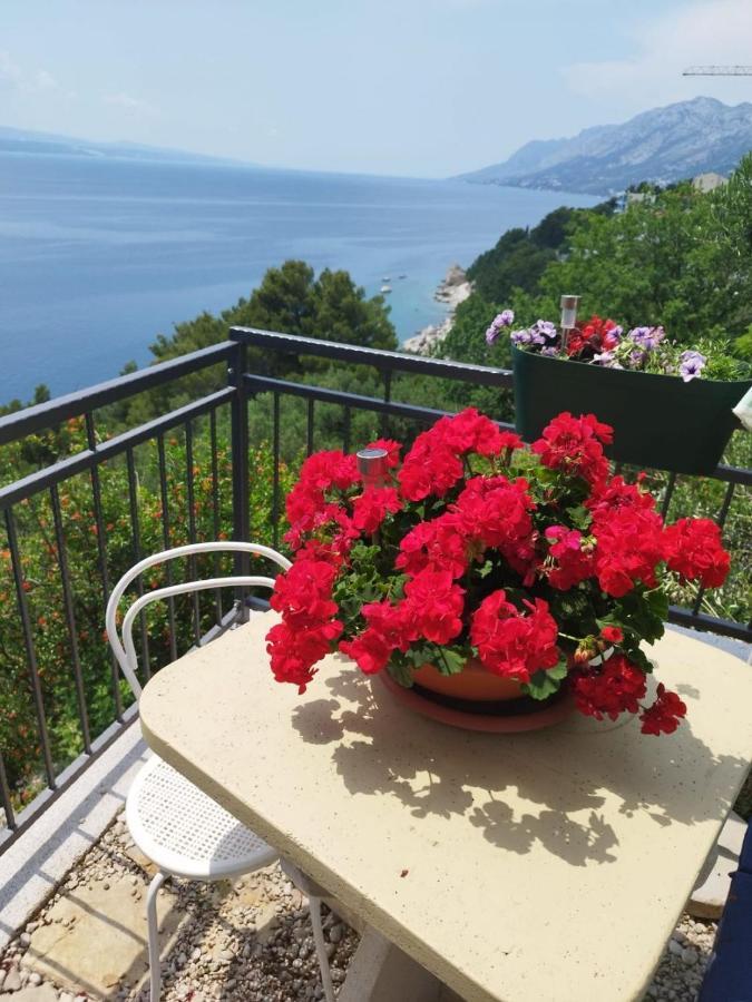 Apartments Mare - 150 M From Beach Brela Esterno foto